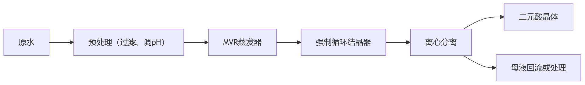 6T/h二元酸廢水蒸發結晶設備